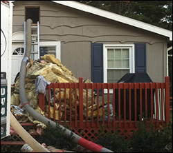 bat removal Los Gatos